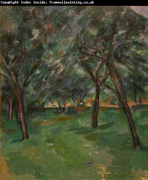 Paul Cezanne A Close